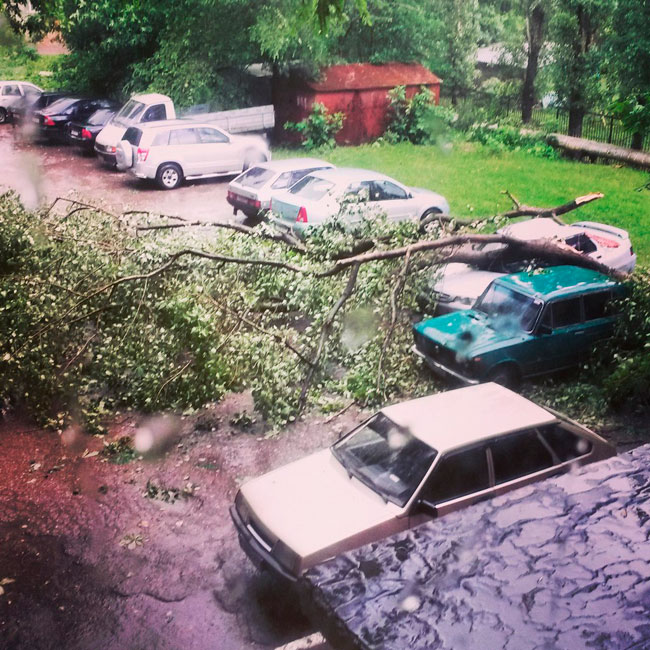 Шторм в Саратове. Деревья упали на машины, дороги и дома