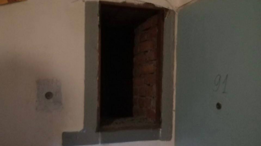 В Балакове спасатели извлекли из вентиляционной шахты кота