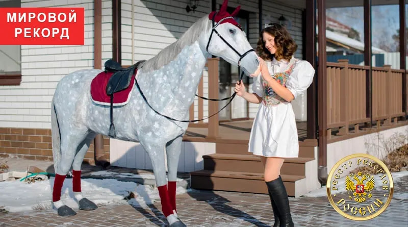 Саратовская девочка создала лошадь из папье-маше и побила мировой рекорд