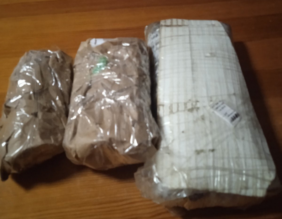 В энгельсской колонии овчарка Розита предотвратила передачу зэкам 9 телефонов