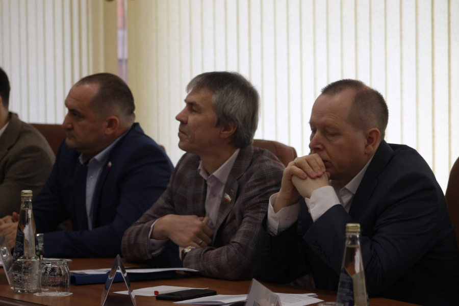 Вместо микроавтобусов многодетным семьям выдадут сертификаты на покупку автомобилей