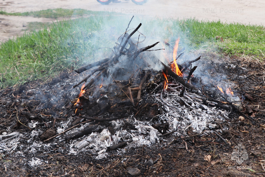 В Саратовской области завели 140 дел на любителей разводить костры