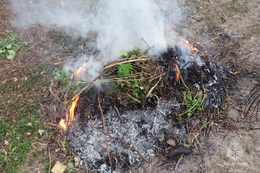 В Саратовской области завели 140 дел на любителей разводить костры