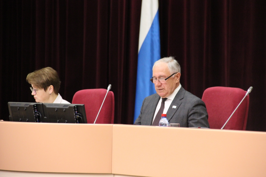 Отчет главы Саратова за год: Зарплаты выросли, ситуация с бродячими собаками сложная