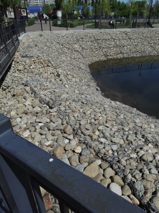 Саратовцы: Пруд в сквере Марины Расковой превратили в ужасную лужу