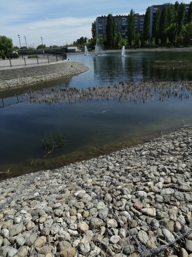 Саратовцы: Пруд в сквере Марины Расковой превратили в ужасную лужу