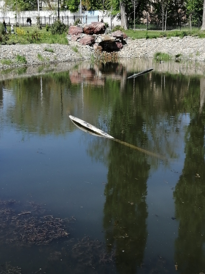 Саратовцы: Пруд в сквере Марины Расковой превратили в ужасную лужу