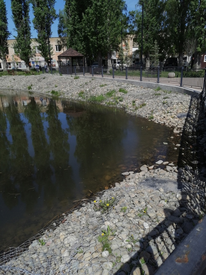 Саратовцы: Пруд в сквере Марины Расковой превратили в ужасную лужу