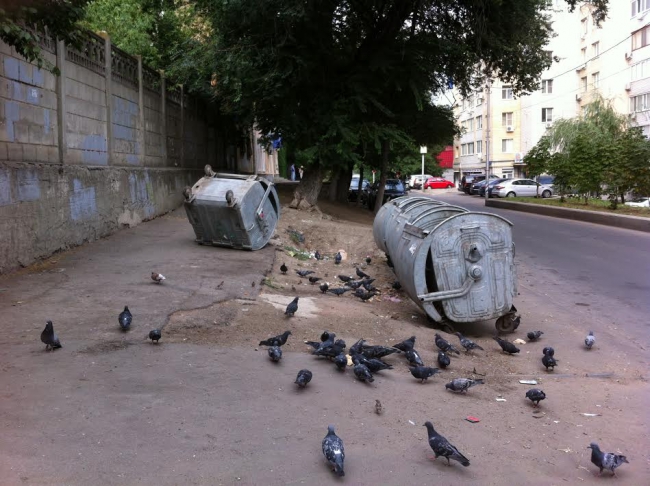 Перевернутый контейнер в центре Саратова превратил пешеходную зону в свалку