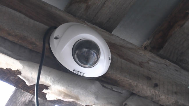 В подпольном игорном клубе обнаружили 15 автоматов