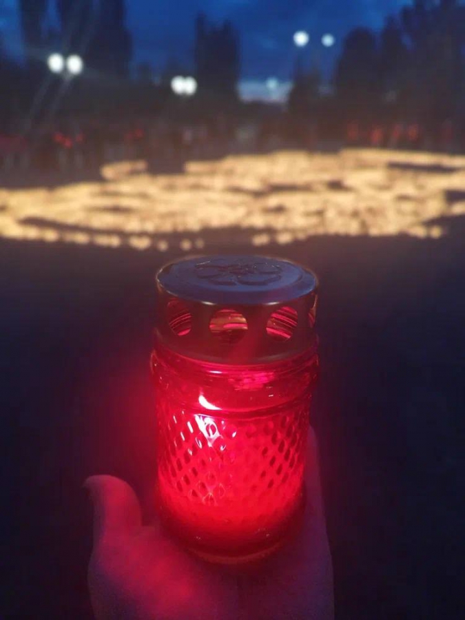 Саратовские волонтеры выложили огненный портрет Марины Расковой