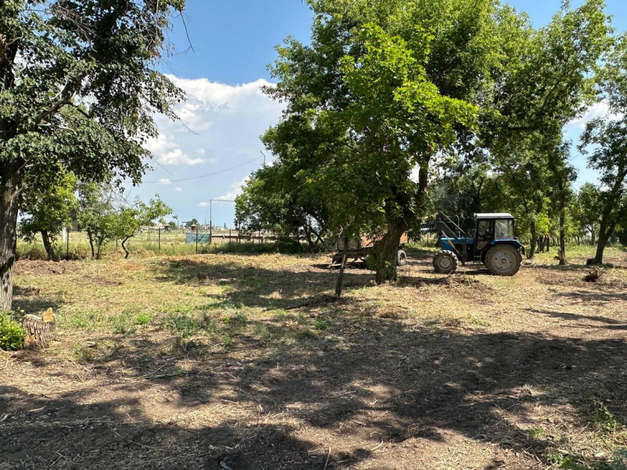 В Питерском районе строится палаточный лагерь для детей