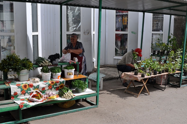 Глава Саратова инспектировал сеть мини-ярмарок в жилых массивах