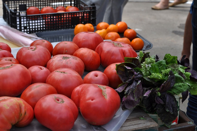 Глава Саратова инспектировал сеть мини-ярмарок в жилых массивах