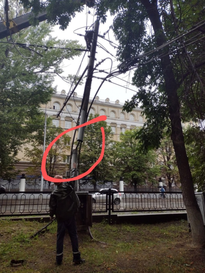 В Саратове из-за упавшего дерева встали трамваи и пострадала женщина