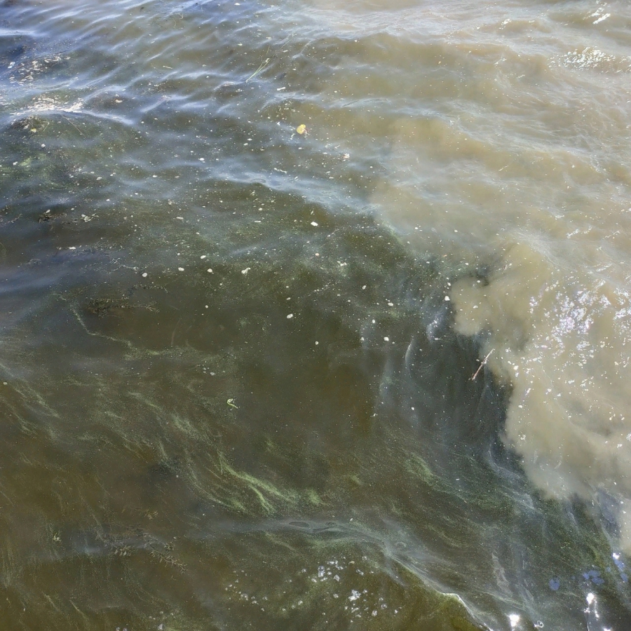 Саратовцы пожаловались на грязные стоки в Волгу у новой набережной