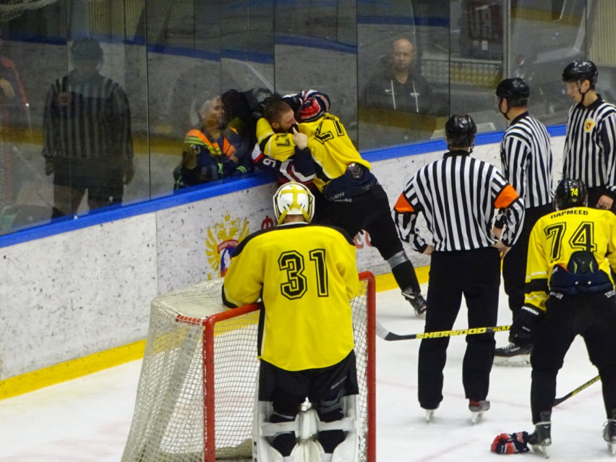 Саратовские и пензенские хоккеисты устроили драки и заработали 176 минут штрафа