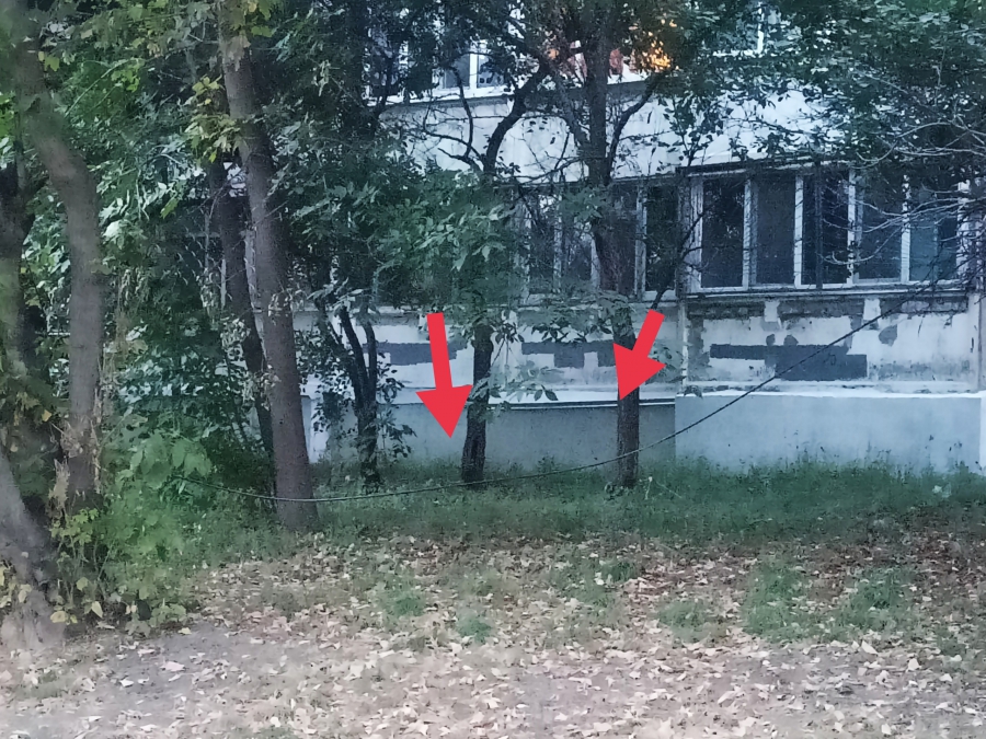 Саратовцы опасаются свисающих электропроводов на месте трагедии