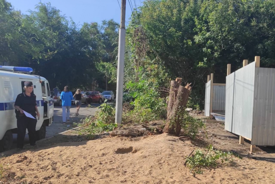 На Комсомольской неизвестные незаконно срубили деревья