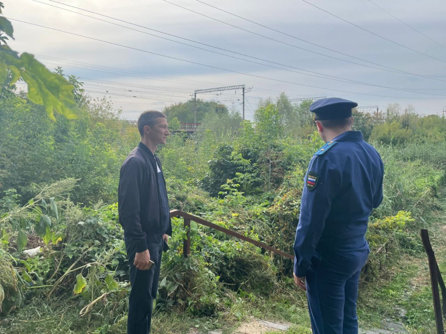 Прокуратура начала проверку из-за потопа и зарослей на мосту у Князевки