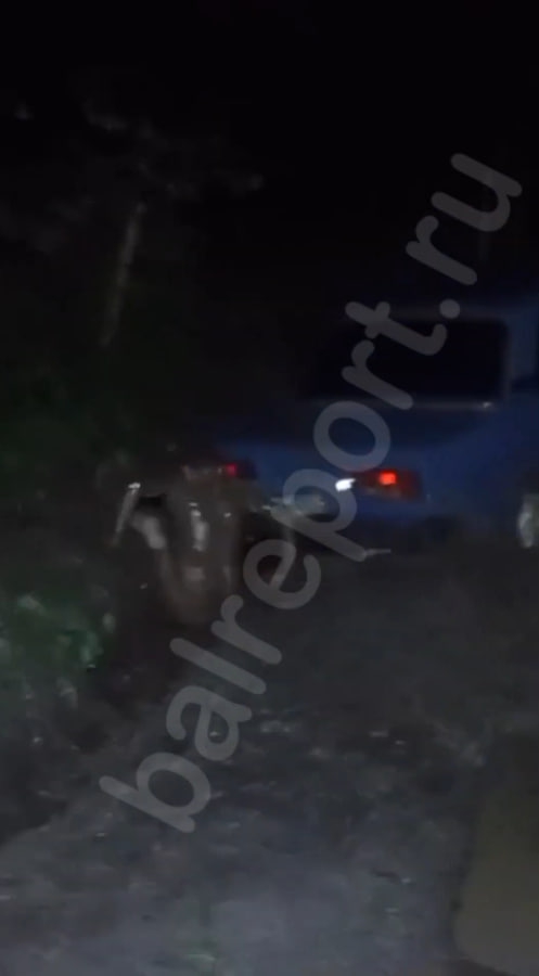 В Балакове тренеру спортшколы пришлось уволиться из-за скандального видео