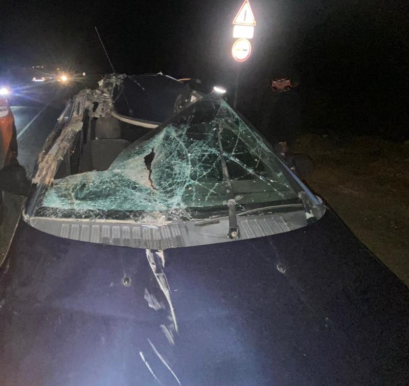 В Дубках в ДТП с «КамАЗом» пострадала женщина