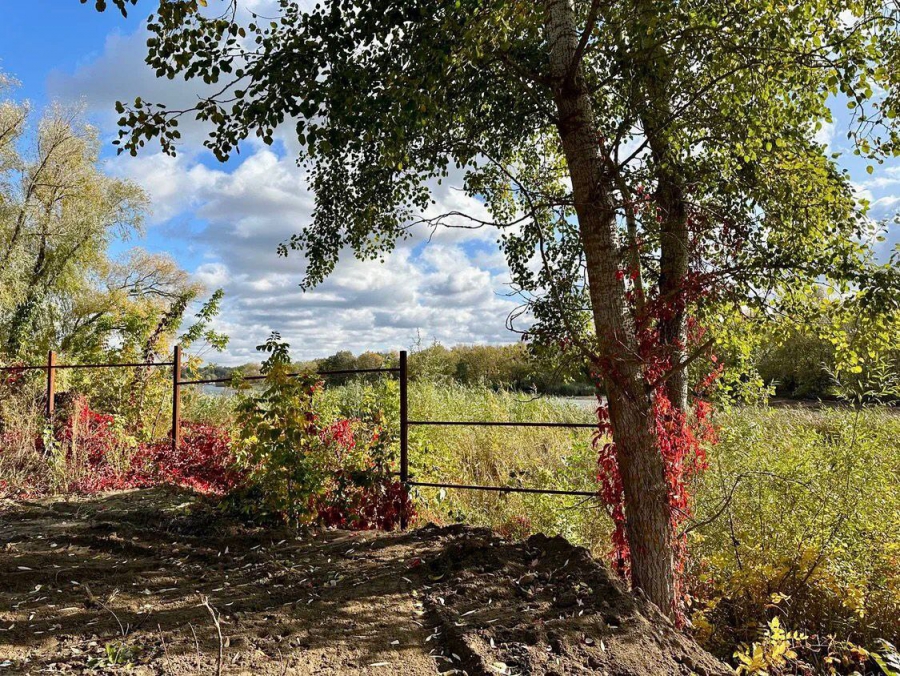 В лесах Энгельсского и Марксовского районов обнаружили незаконные ограждения
