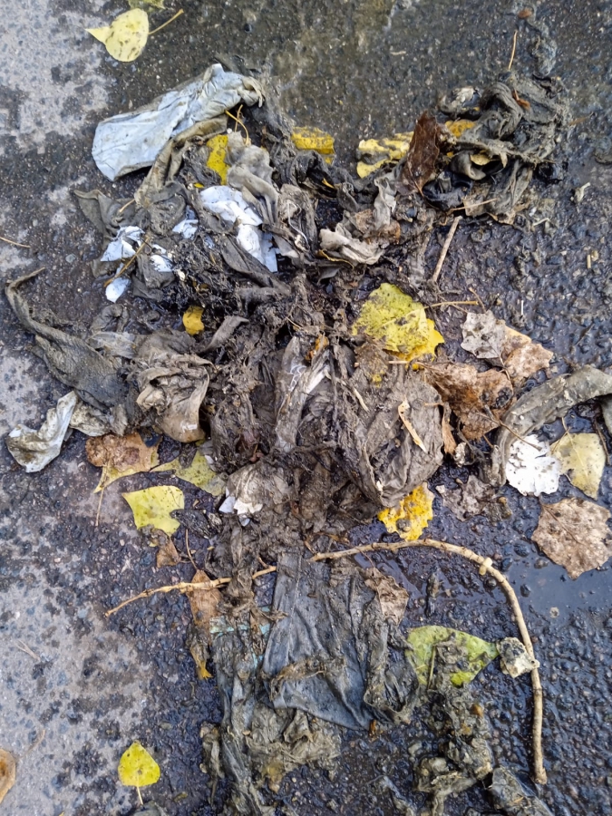 КВС: Количество засоров канализации увеличилось за минувшую неделю на четверть