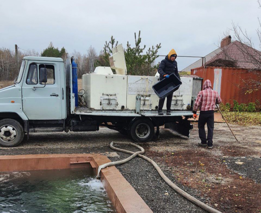 В Саратовской области в Волгу выпустили 4,8 млн мальков