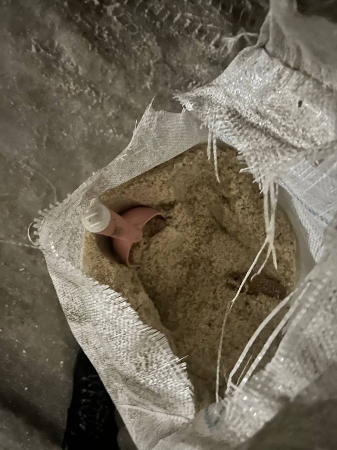 Бездействие коммунальщиков. Саратовцев вынудили посыпать солью лед на дорогах