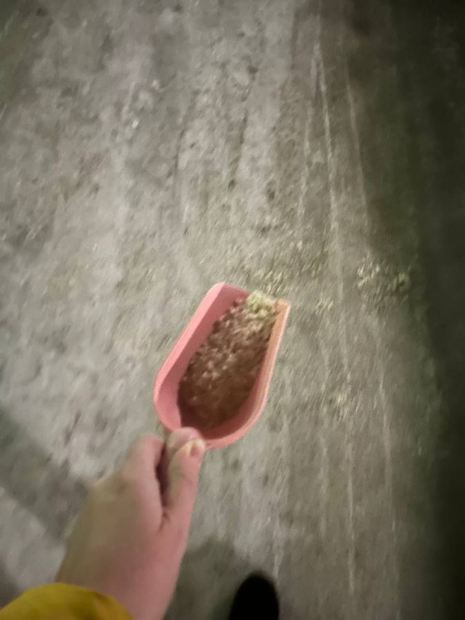 Бездействие коммунальщиков. Саратовцев вынудили посыпать солью лед на дорогах