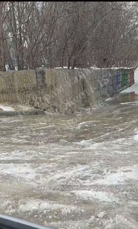 В центре Саратова колеса нескольких автомобилей вмерзли в лед