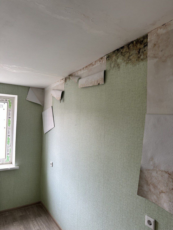 В Елшанке построенный для медиков дом с плесенью сдали обманом. Возбуждено дело