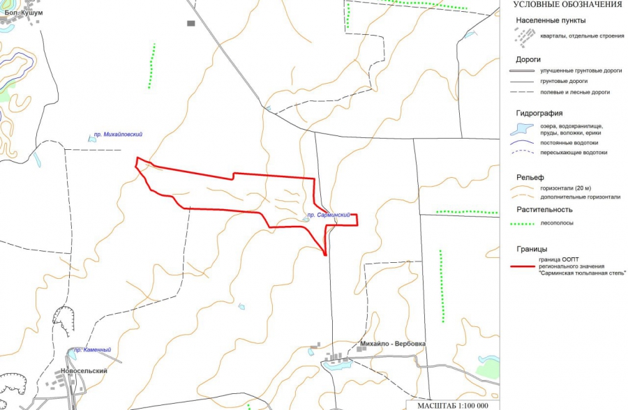 В Ершовском районе появился памятник природы с тюльпанами из Красной книги РФ