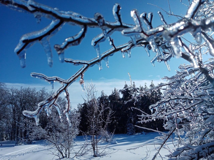 Долго ли будет зима. Долго ли будет зима. Зима какая. Какая будет зима. Чародейкою зимою.