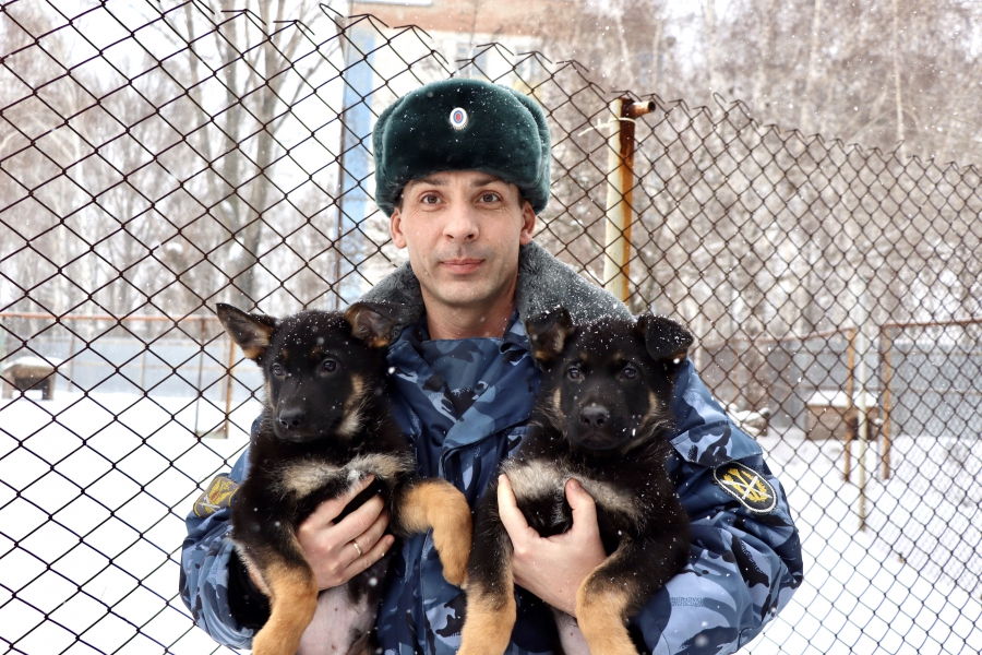 Овчарка питомника УФСИН Яшма родила 7 щенков