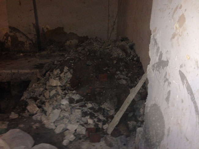 Найденные в ТЮЗе кости не принадлежат человеку