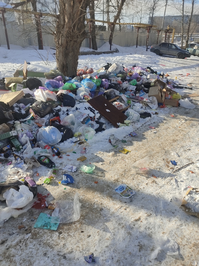 На Заречной из-за отсутствия контейнеров устроили стихийную свалку