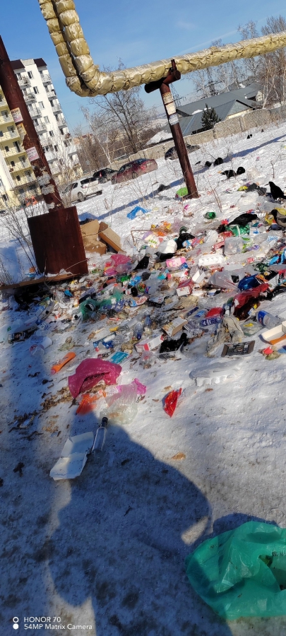 На Заречной из-за отсутствия контейнеров устроили стихийную свалку