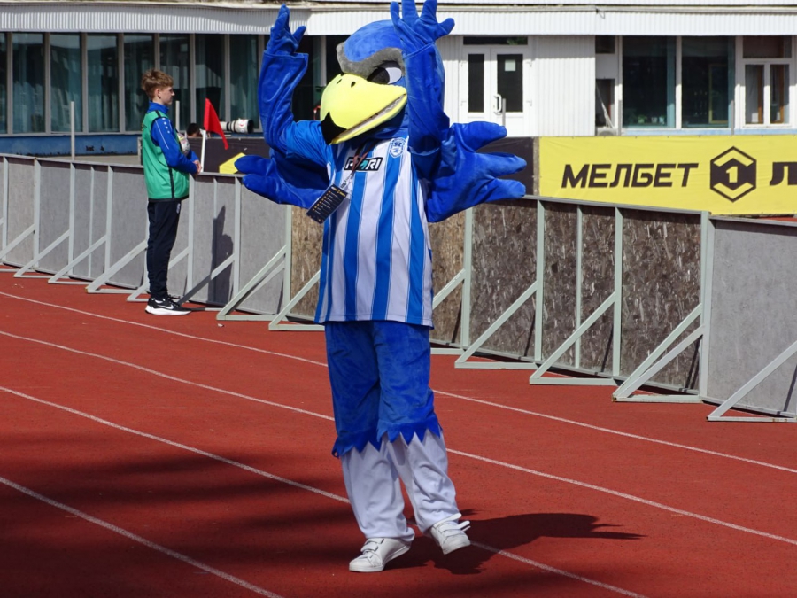 «Сокол» сыграл вничью с одним из фаворитов лиги