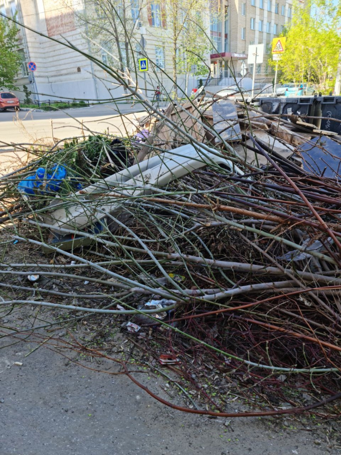 Общественник Малявко опасается полчища крыс из-за мусора у школ и лагерей