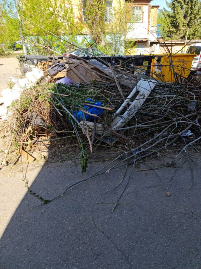 Общественник Малявко опасается полчища крыс из-за мусора у школ и лагерей