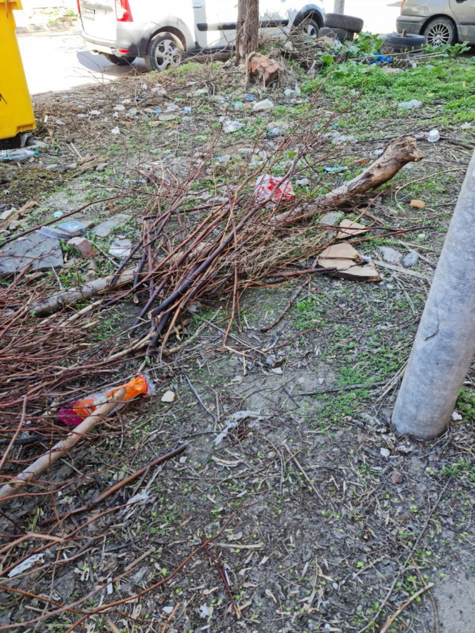 Общественник Малявко опасается полчища крыс из-за мусора у школ и лагерей