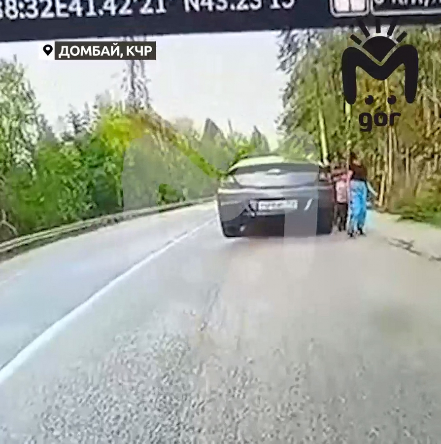 В Карачаево-Черкессии дерево убило 5-летнего мальчика из Саратова