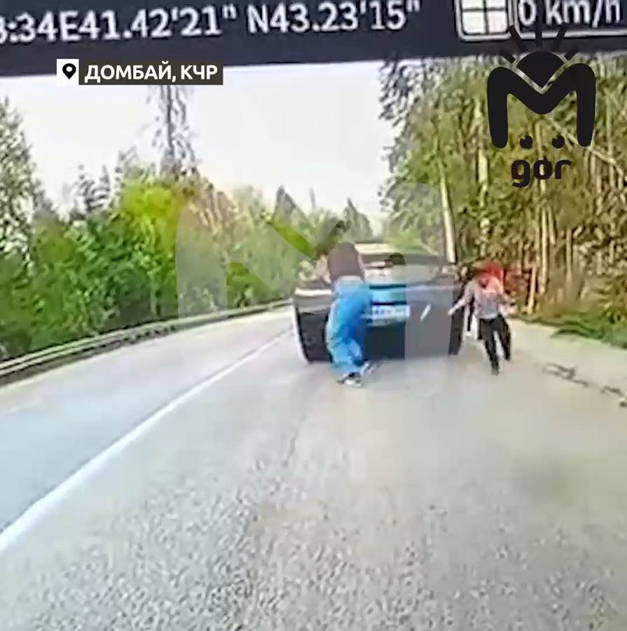 В Карачаево-Черкессии дерево убило 5-летнего мальчика из Саратова