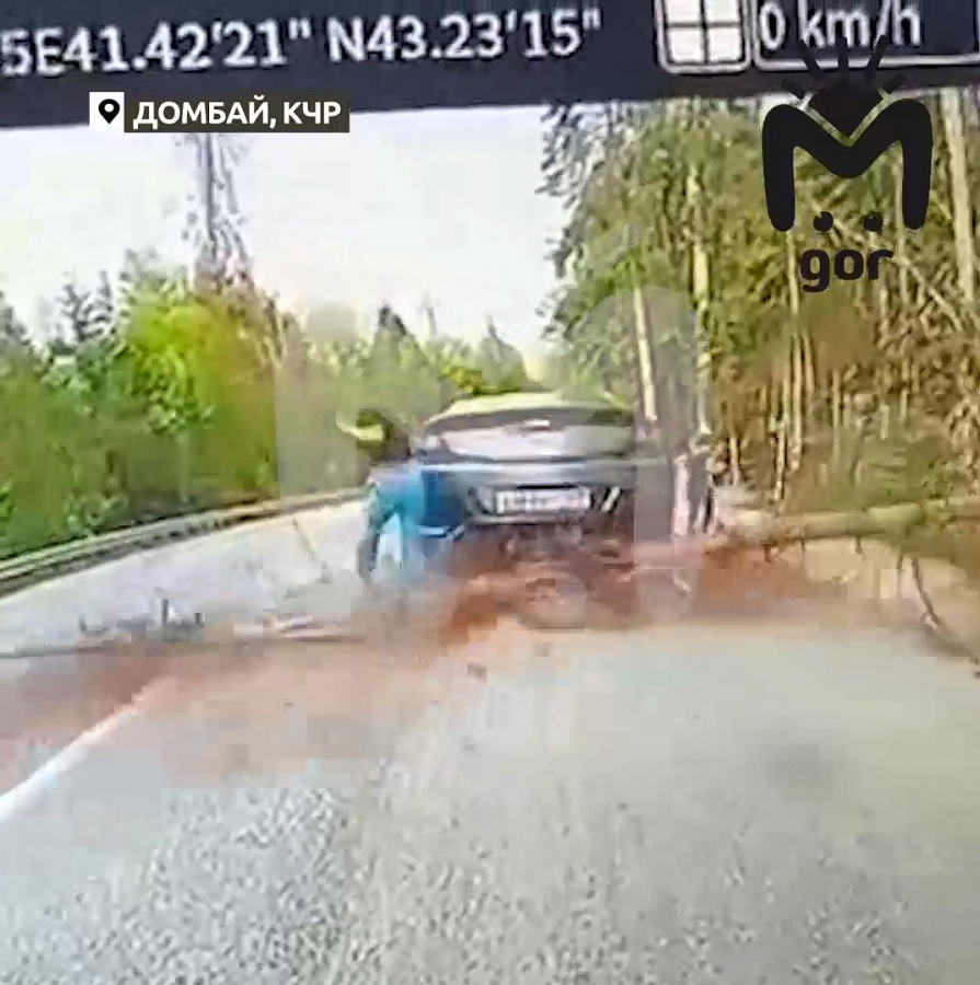 В Карачаево-Черкессии дерево убило 5-летнего мальчика из Саратова