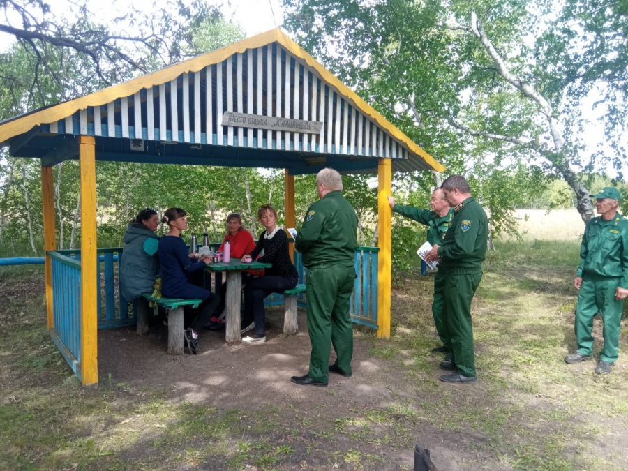 В Саратовской области с начала года сгорело 21,9 га леса