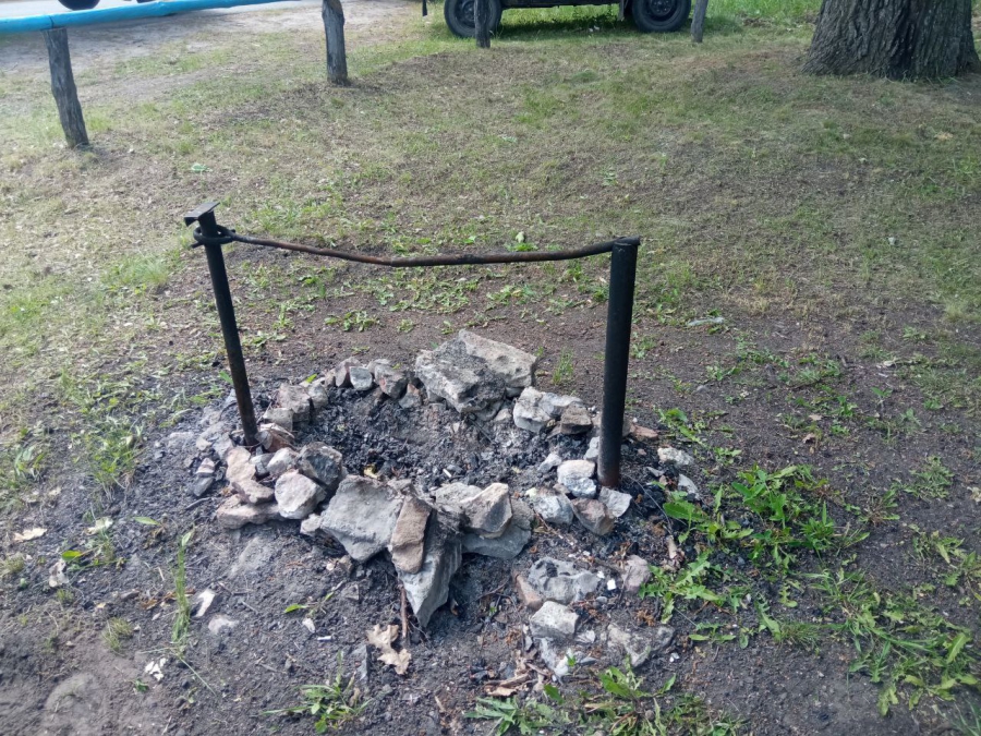 В Саратовской области с начала года сгорело 21,9 га леса