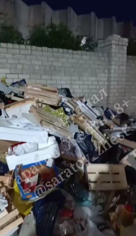 На свалке в Ленинском районе поселились огромные крысы