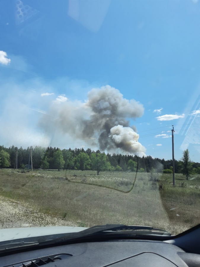 В Воскресенском районе горел лес с вековыми соснами